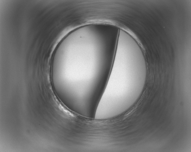 X0000078841102200611130951