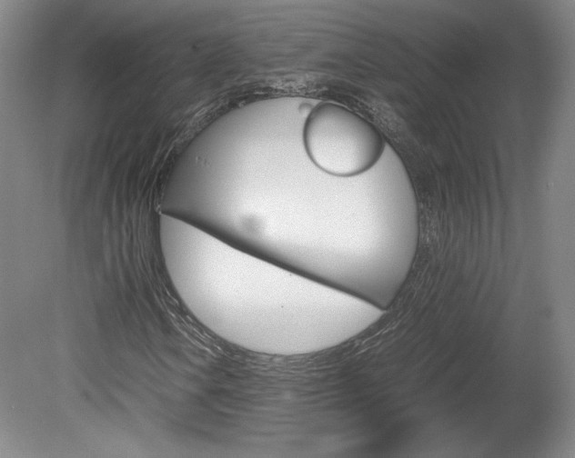 X0000078841106200611130950