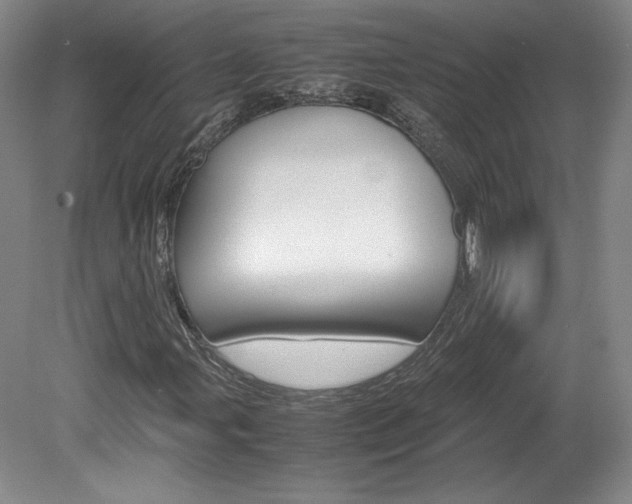 X0000078841107200611130950