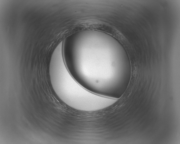 X0000078841108200611130950