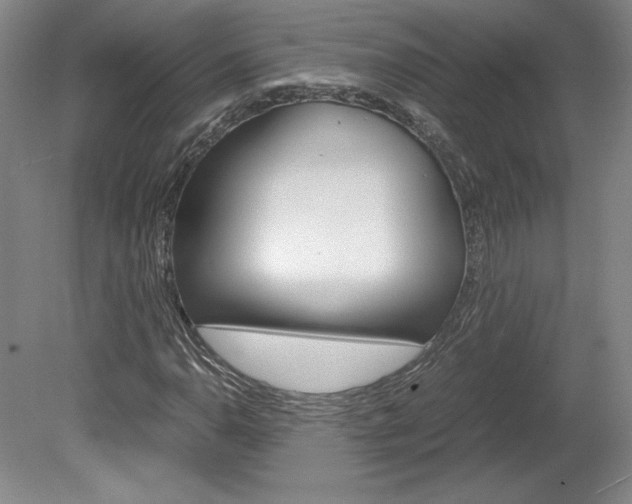 X0000078841110200611130950
