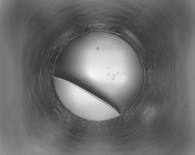 X0000078841111200611130950