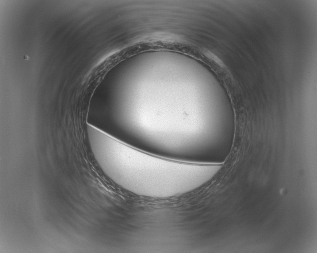 X0000078841112200611130950