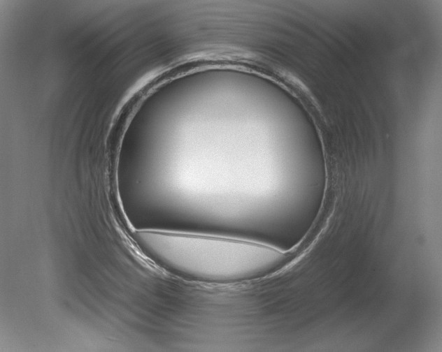 X0000078841114200611130950