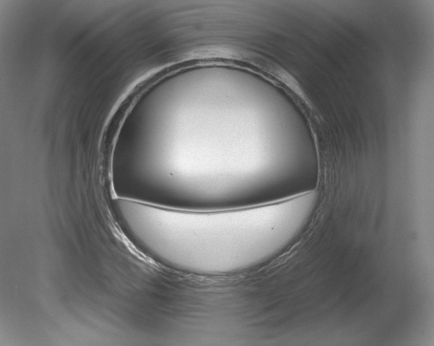 X0000078841116200611130950