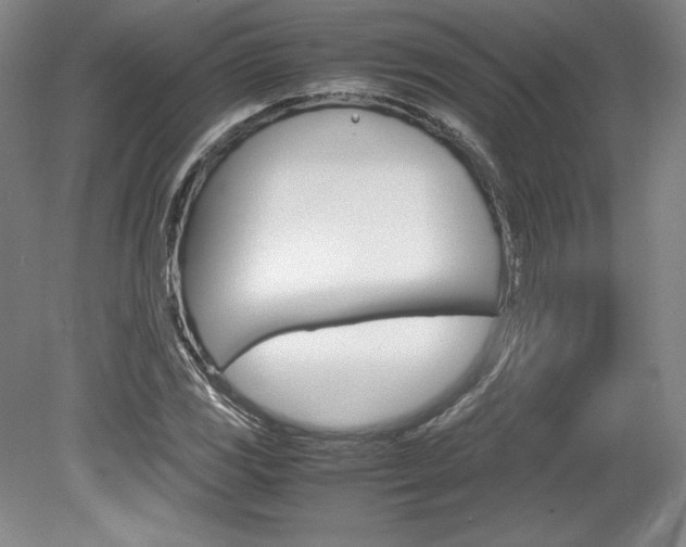 X0000078841117200611130950