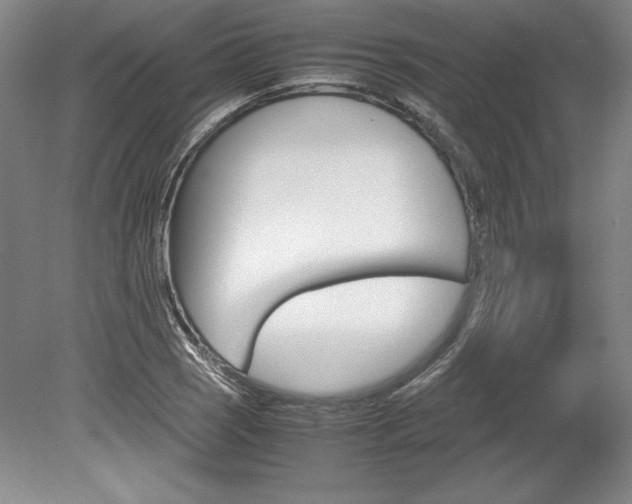 X0000078841121200611130951