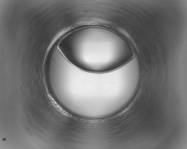 X0000078841122200611130951