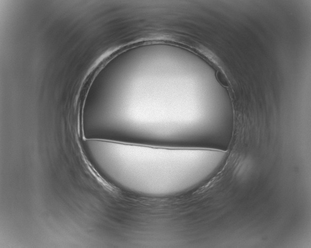 X0000078841127200611130951