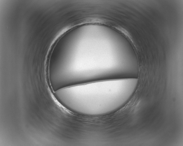 X0000078841135200611130951