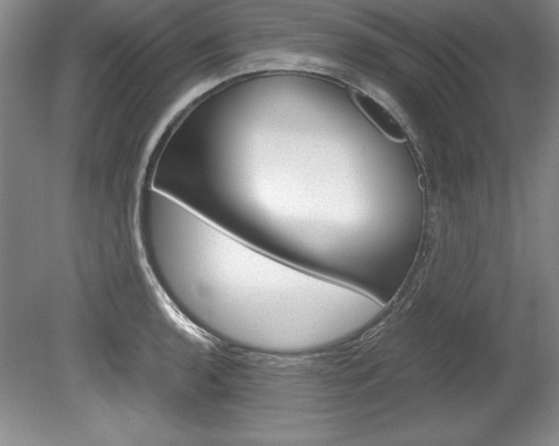 X0000078841136200611130951