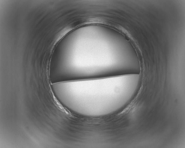 X0000078841137200611130951