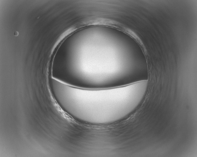 X0000078841138200611130951