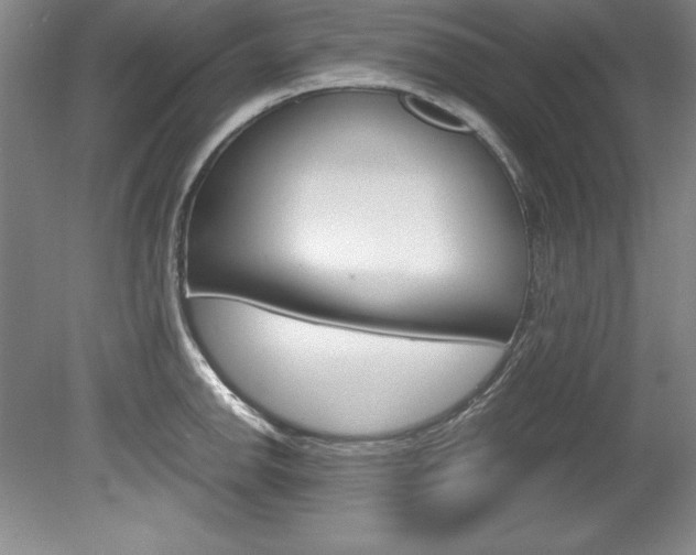 X0000078841142200611130951