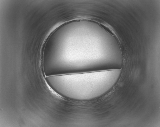 X0000078841143200611130951
