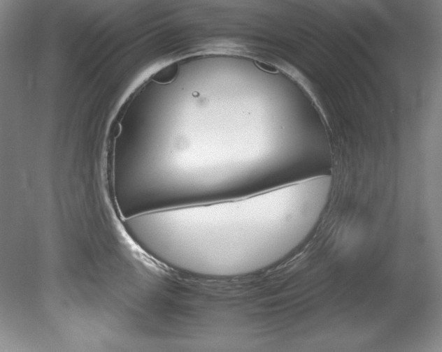 X0000078841147200611130951