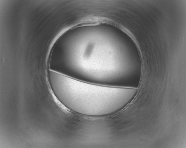 X0000078841152200611130951