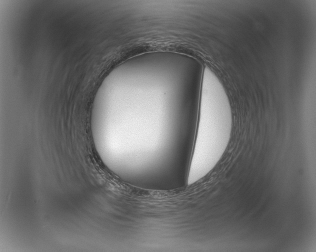 X0000078841153200611130950