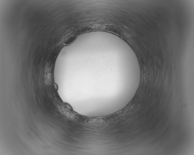 X0000078841154200611130950