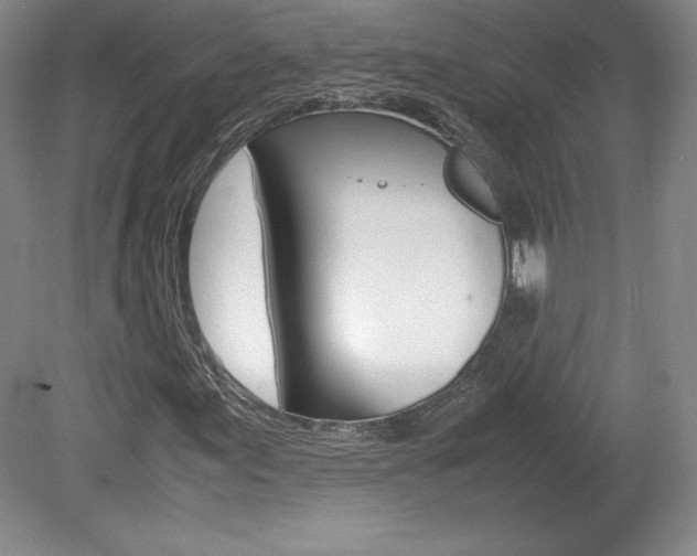 X0000078841155200611130950
