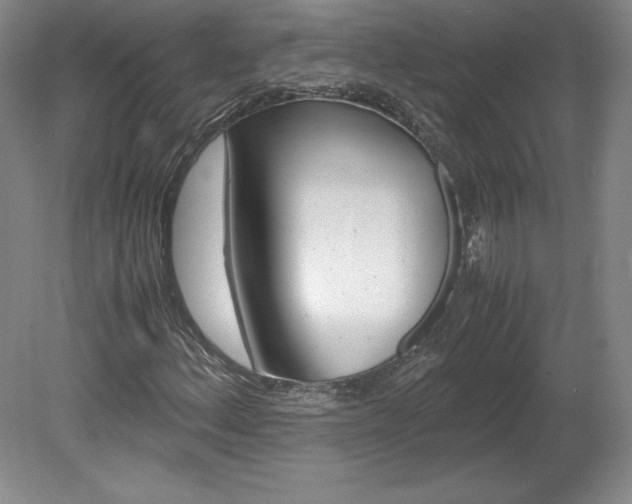 X0000078841156200611130950