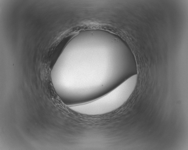 X0000078841157200611130950