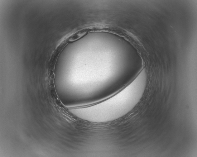 X0000078841160200611130950