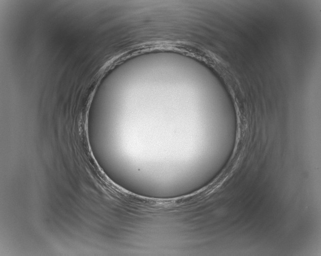 X0000078841161200611130950
