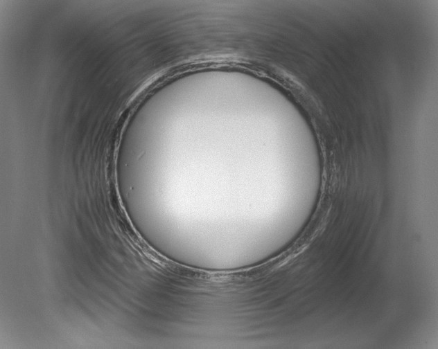 X0000078841162200611130950