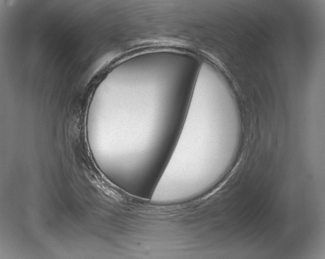 X0000078841163200611130950