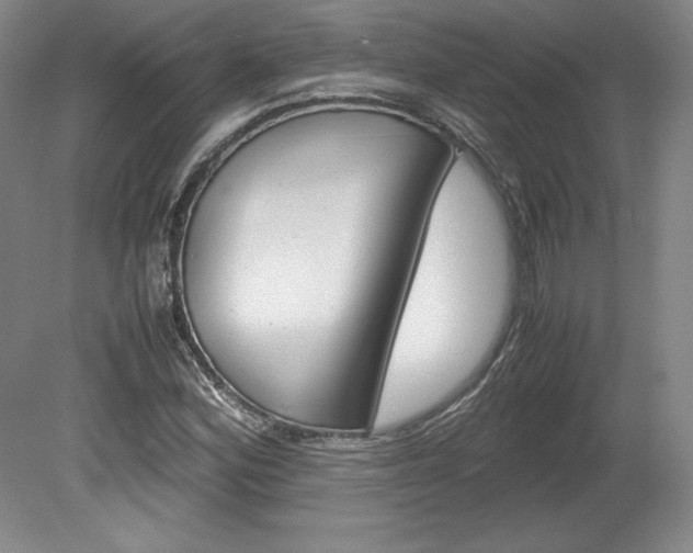 X0000078841164200611130950