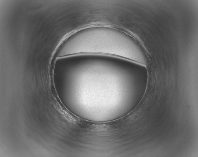 X0000078841168200611130950