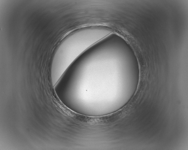 X0000078841169200611130950