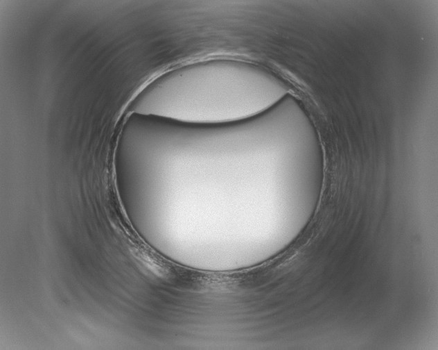 X0000078841170200611130950