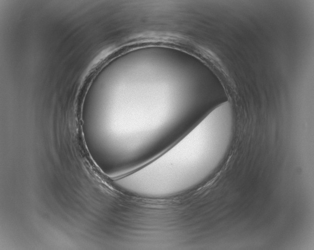 X0000078841172200611130950