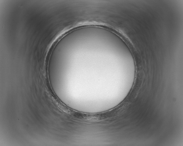 X0000078841173200611130950
