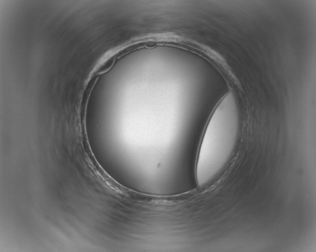 X0000078841176200611130950