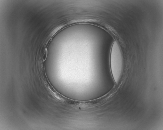 X0000078841177200611130950