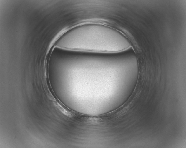 X0000078841180200611130950