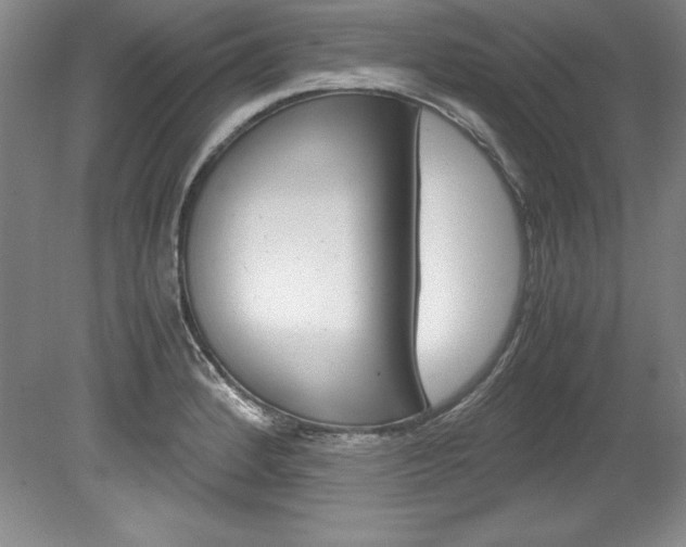 X0000078841184200611130950