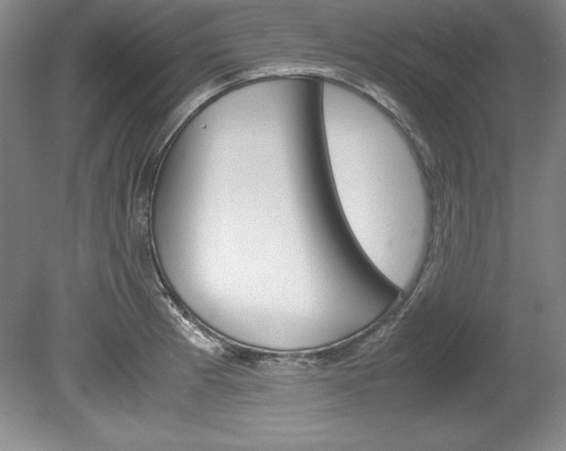 X0000078841185200611130950