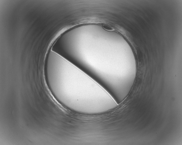 X0000078841187200611130950
