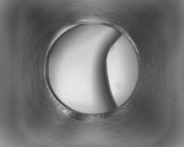 X0000078841195200611130950