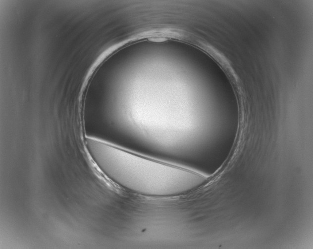 X0000078841200200611130949
