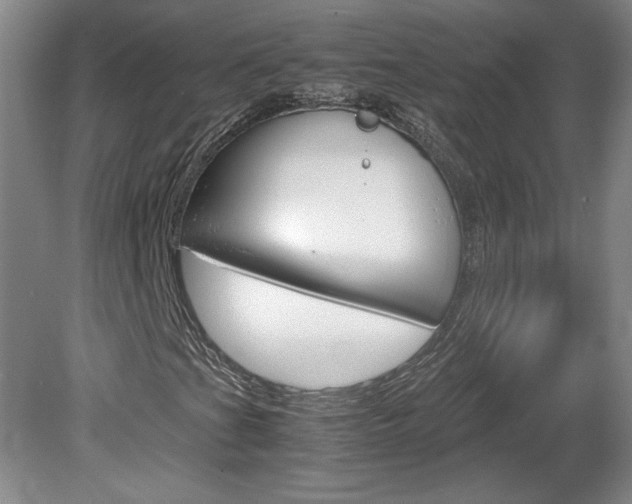 X0000078841201200611130949