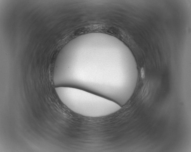 X0000078841203200611130949