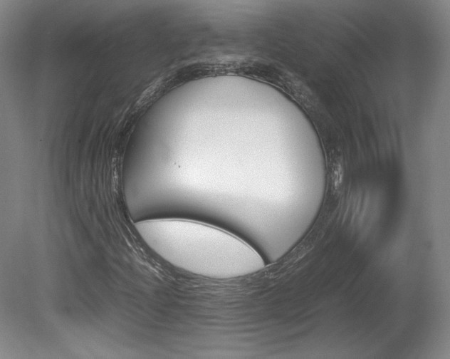 X0000078841204200611130949