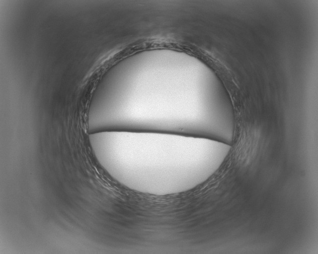 X0000078841207200611130949