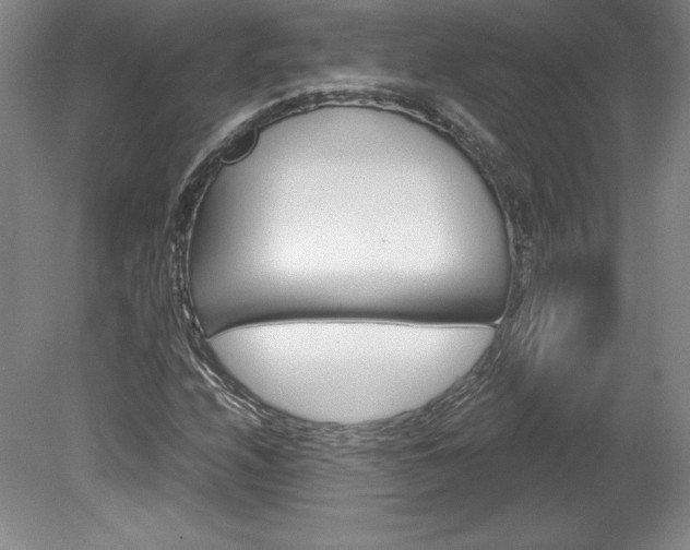 X0000078841208200611130949