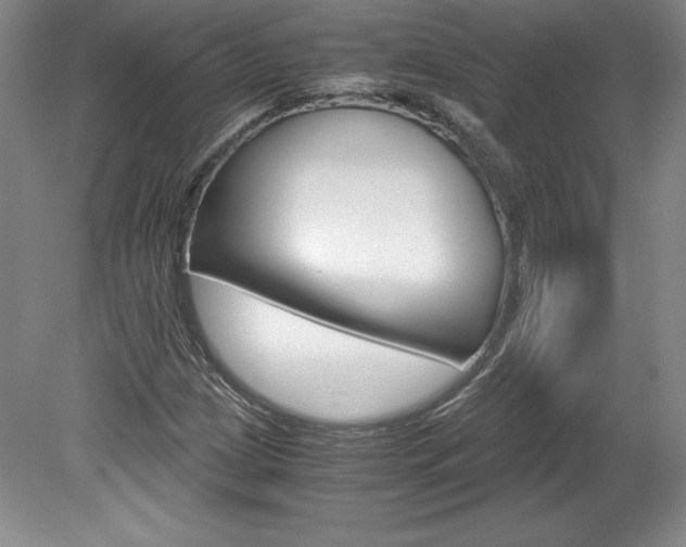 X0000078841209200611130949